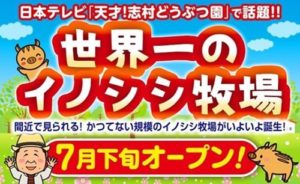 東筑波ユートピアの現在 日本一客の来ない動物園 場所はどこ エンジェルニュース