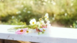 綺麗なお花結婚イメージ画像