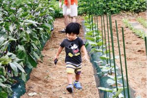 野菜ソムリエプロ【緒方湊】小中学校/出身や両親を調査！(博士ちゃん)｜エンジェルニュース