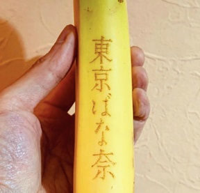 エンドケイプバナナアート画像